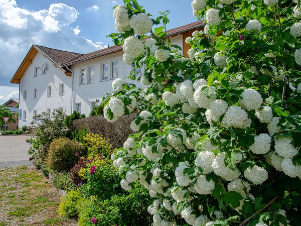 5 Tage Wandern im Bayerischen Wald in Eschlkam Halbpension