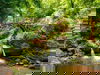 Kl. Luxemburger Schweiz-Wandern im Müllerthal | 6 Tg.