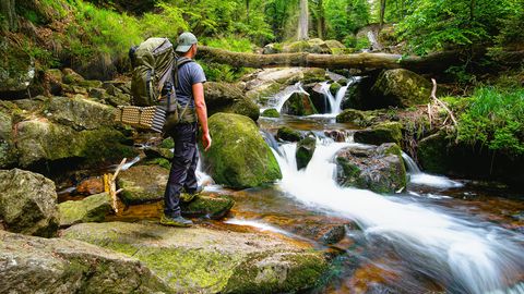 Harz