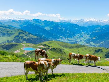 Urlaub im Salzburger Land - 7 Tage