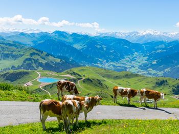 Urlaub im Salzburger Land - 5 Tage