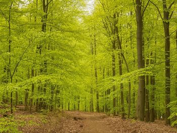 Bild 18 von 44