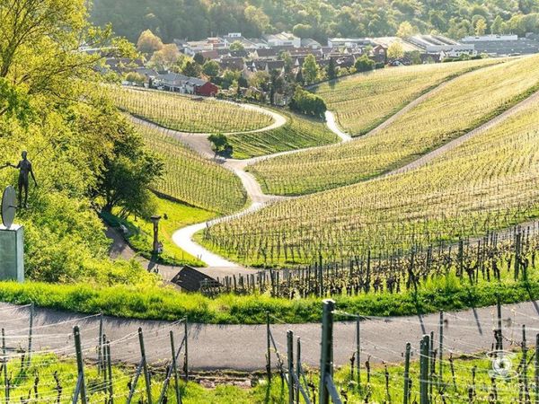5 Tage in Weinstadt - erkunden Sie Stuttgart, Ludwigsburg und den Neckar in Weinstadt - Beutelsbach, Baden-Württemberg inkl. Frühstück