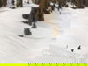 3 Tage Bayerischer Wald preiswert mit All-Incl.