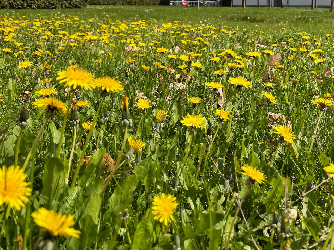 5-Tage-Auszeit in der Hauptstadt