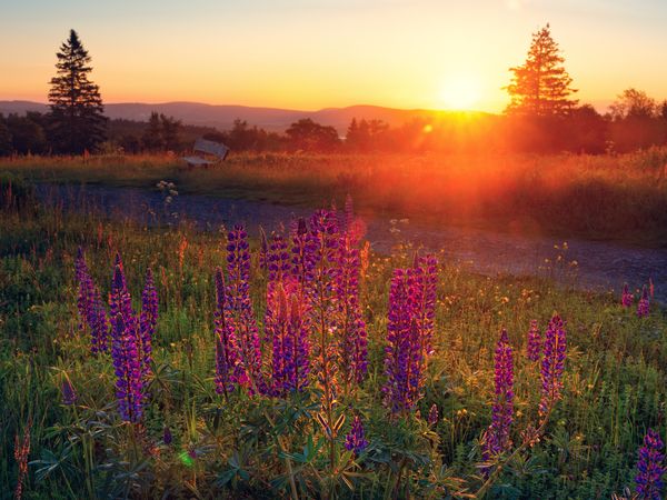 Kurzurlaub im Westerwald (3 Tage) in Bad Marienberg (Westerwald) Halbpension