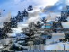 Erholung pur - 3 Tage am Titisee mit HP