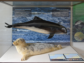 OZEANEUM Stralsund mit Ticket und Hotel