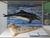 OZEANEUM Stralsund mit Ticket und Hotel