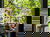 5 Tage Entspannung in Amsterdam