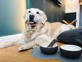 2 Tage im München Marriott Hotel mit Frühstück