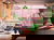 Citytrip in Wien 2 Tage mit Frühstück im Max Brown