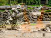 3 Tage Auszeit mit Zoo und Wellness im Saarland