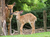 Opel-Zoo Tickets mit Hotel