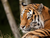 Tierpark und Tropen Aquarium Hagenbeck in Hamburg mit Hotel