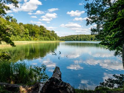 Waldhotel Wandlitz