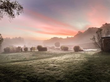 Westerwälder Natur pur inkl. Wellness-Verwöhnpension