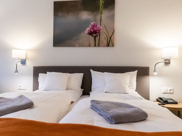 Hotel Ascona