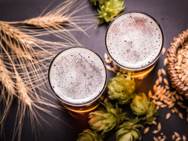 Stadt des Bieres entdecken – 9 Tage in Pilsen in Pilsen (Plzeň) Frühstück