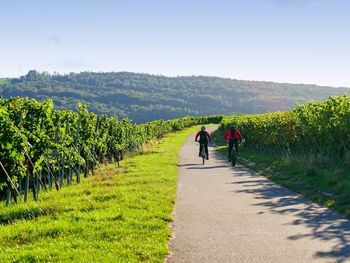 Mainfranken mit vielen Vorteilen erleben