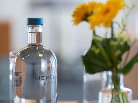 7 Tage Auszeit in der lebhaften Hansestadt Zwolle