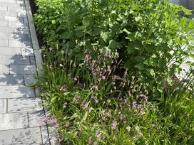 6 Tage Kurzurlaub im Hochsauerland