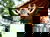 4 Tage Thermen-Genuss in der Albtherme Waldbronn