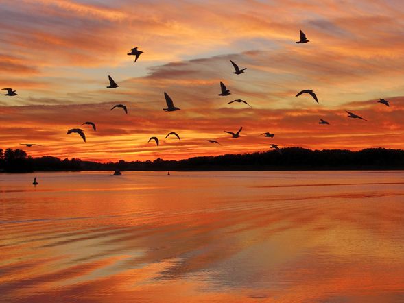 Mecklenburgische Seenplatte im Schlosshotel - 9 Tage Urlaub mit Frühstück