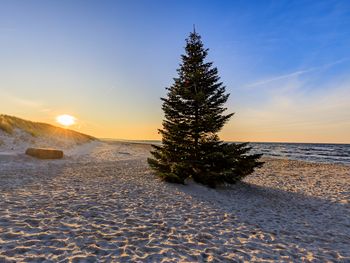 Weihnachten an der Ostsee