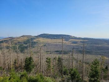 3 Tage Aktiv- und Wanderurlaub im schönen Harz