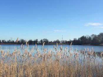 3 Tage City & Natur – Kurzurlaub in Den Bosch