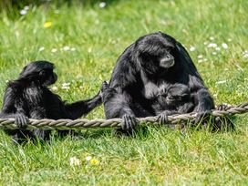 Serengeti Park Hodenhagen mit Hotel