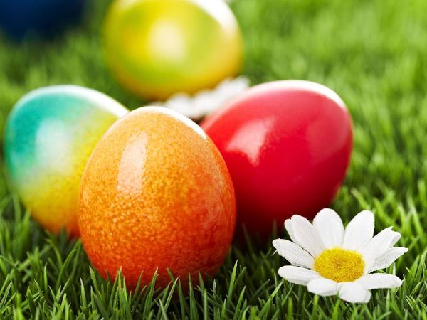 Ostern – 4 Tage im Sonnenhof Willingen in Willingen (Upland), Hessen inkl. Frühstück