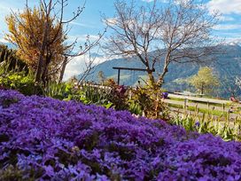 3 Tage Alpen-Wellness inkl. Halbpension