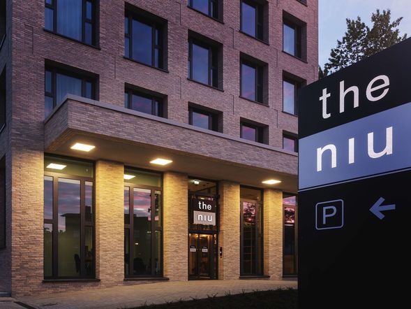 the niu Dwarf