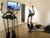 2 Tage im Best Western Plus Bremerhaven mit Frühstück