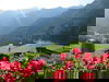 7 Tage im Ferienhotel Hoppet mit AI