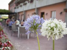 3 traumhafte Tage in Lazise am Gardasee mit Frühstück