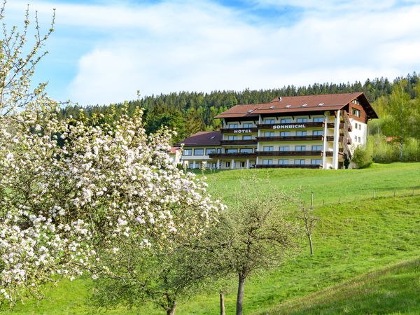 Bayerwald: 4-Pfoten-Spezial im Wanderparadies Lam, Bayern Halbpension