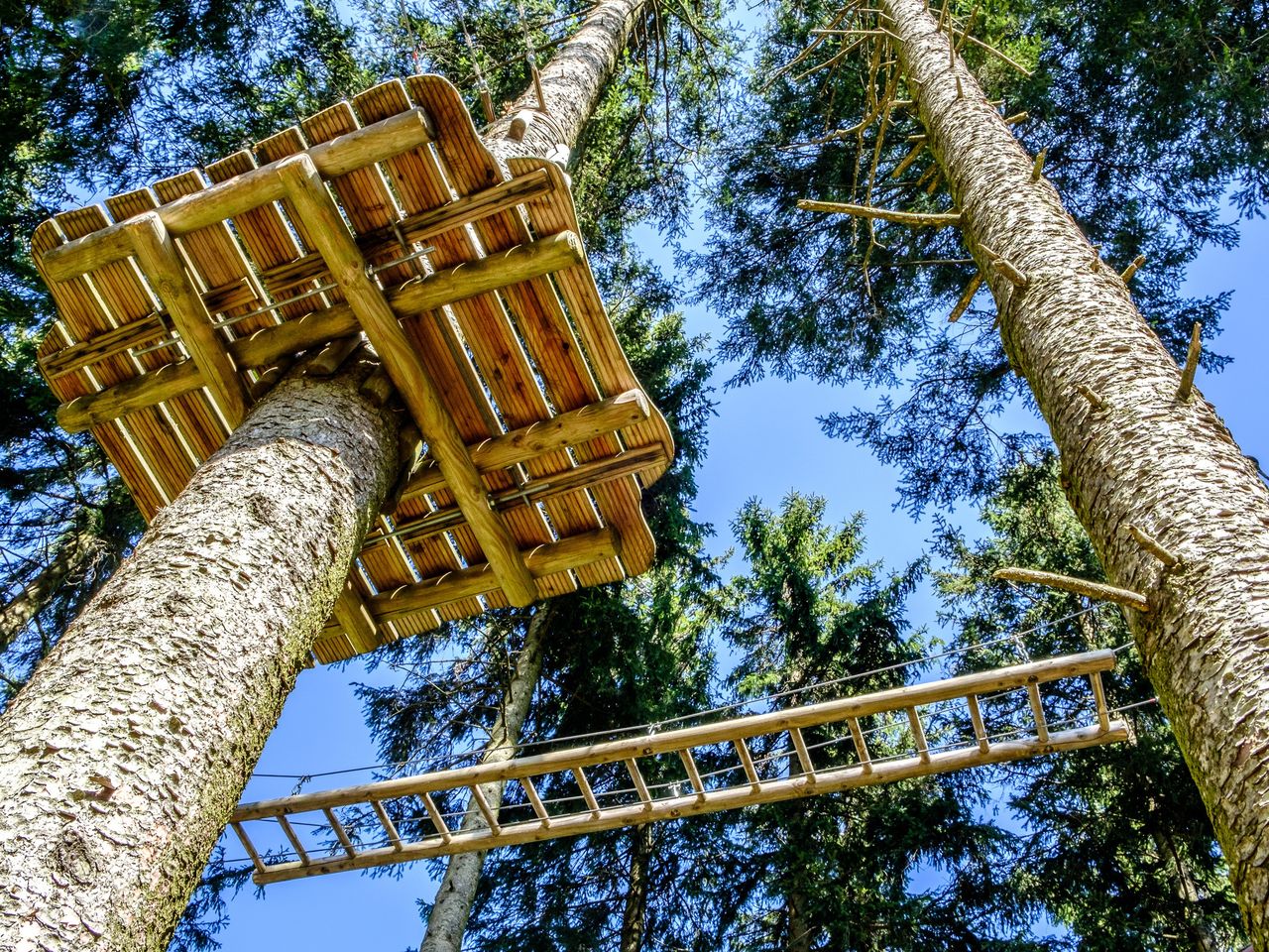 Adrenalinrausch und Spaßgarantie im Schwarzwald