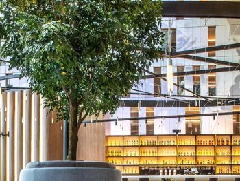 4 Tage im Radisson Blu Hotel Cologne 
