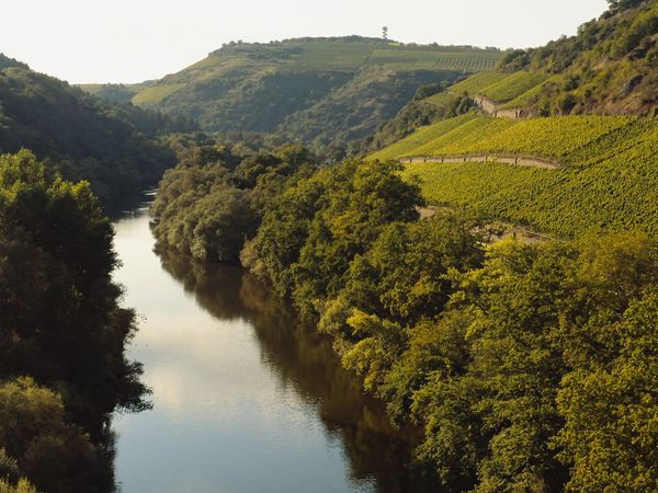 5 Tage Sommerauszeit an der Nahe in Niederhausen (Nahe), Rheinland-Pfalz inkl. Halbpension