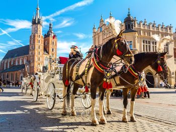 4 Tage in der königlichen Stadt Krakau