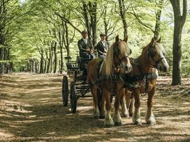 Erholung im grünen Apeldoorn - 2 Tage im Nachbarland