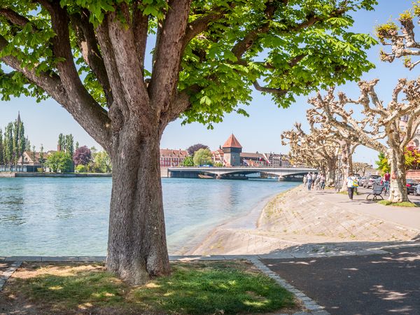 Konstanz & Bodensee erleben - 7 Tage mit Frühstück - HARBR. hotel Konstanz
