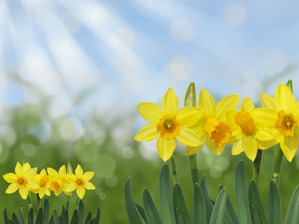 Pfingsten in der Lünebuerger Heide in Bad Bevensen Halbpension