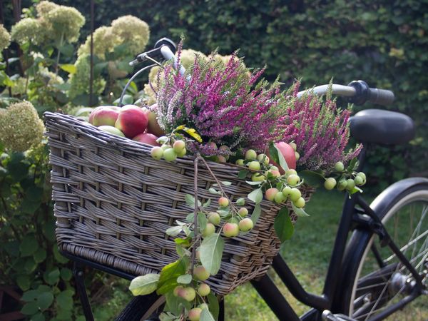 Zauberhafte Rheinische Apfelroute – 2 Tage in Swisttal Halbpension