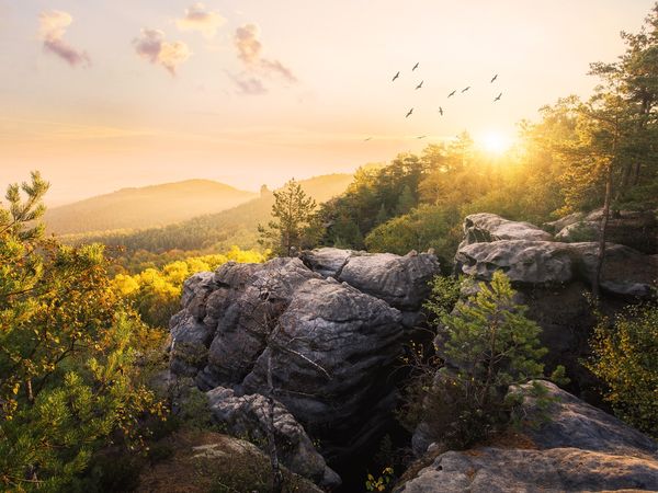 99ers 3 Tage Oberwiesenthal inkl. HP Kinder gratis in Kurort Oberwiesenthal, Sachsen inkl. Halbpension