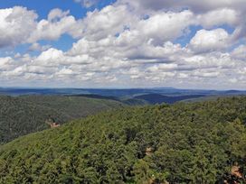 Wanderurlaub Pfälzerwald inkl. Halbpension | 5 Tage