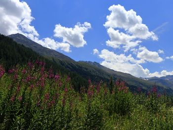 6 Tage Entspannung in den Tiroler Alpen